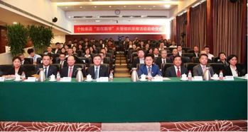 贏在新華 大型組織發展活動的成功之道——以新華保險為例